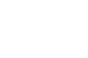 FST